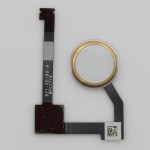Flex Botón Home iPad Air 2 / iPad mini 4, DORADO (A1566, A1567, A1538, A1550) PREMIUM
