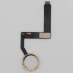 Flex Botón Home iPad Pro 9.7 2016 DORADO (A1673, A1674, A1675)  PREMIUM