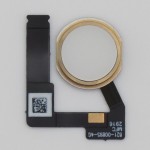Botón Home para iPad Pro 12.9 2ª Generación (2017) DORADO A1670, A1671, A1821